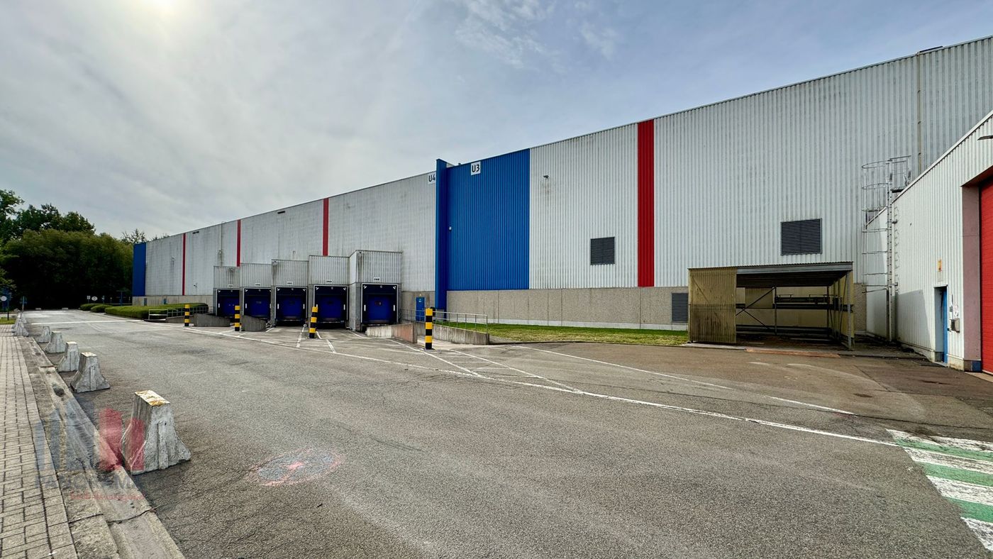 Logistiek magazijn te huur te Willebroek - photo 5