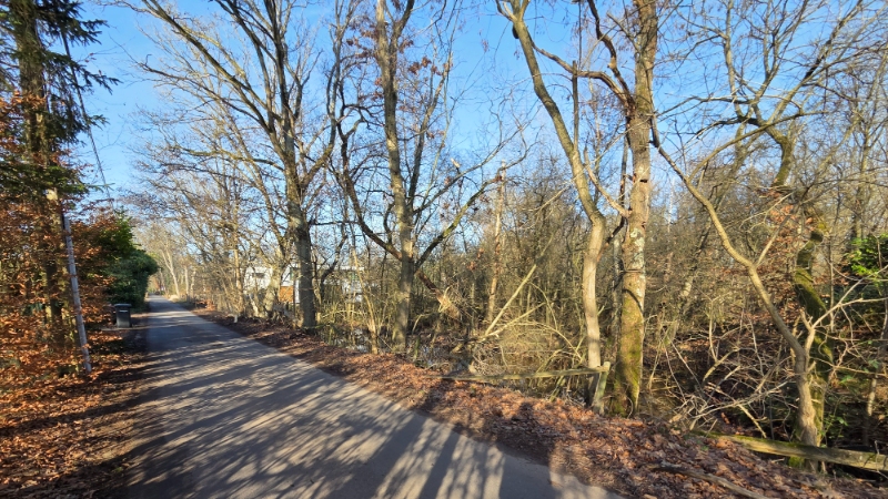 Bouwgrond van 12 are met perceelsbreedte van 24 meter - foto 2