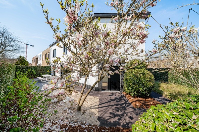 Move-in ready home with a delightful south-facing garden - photo 1