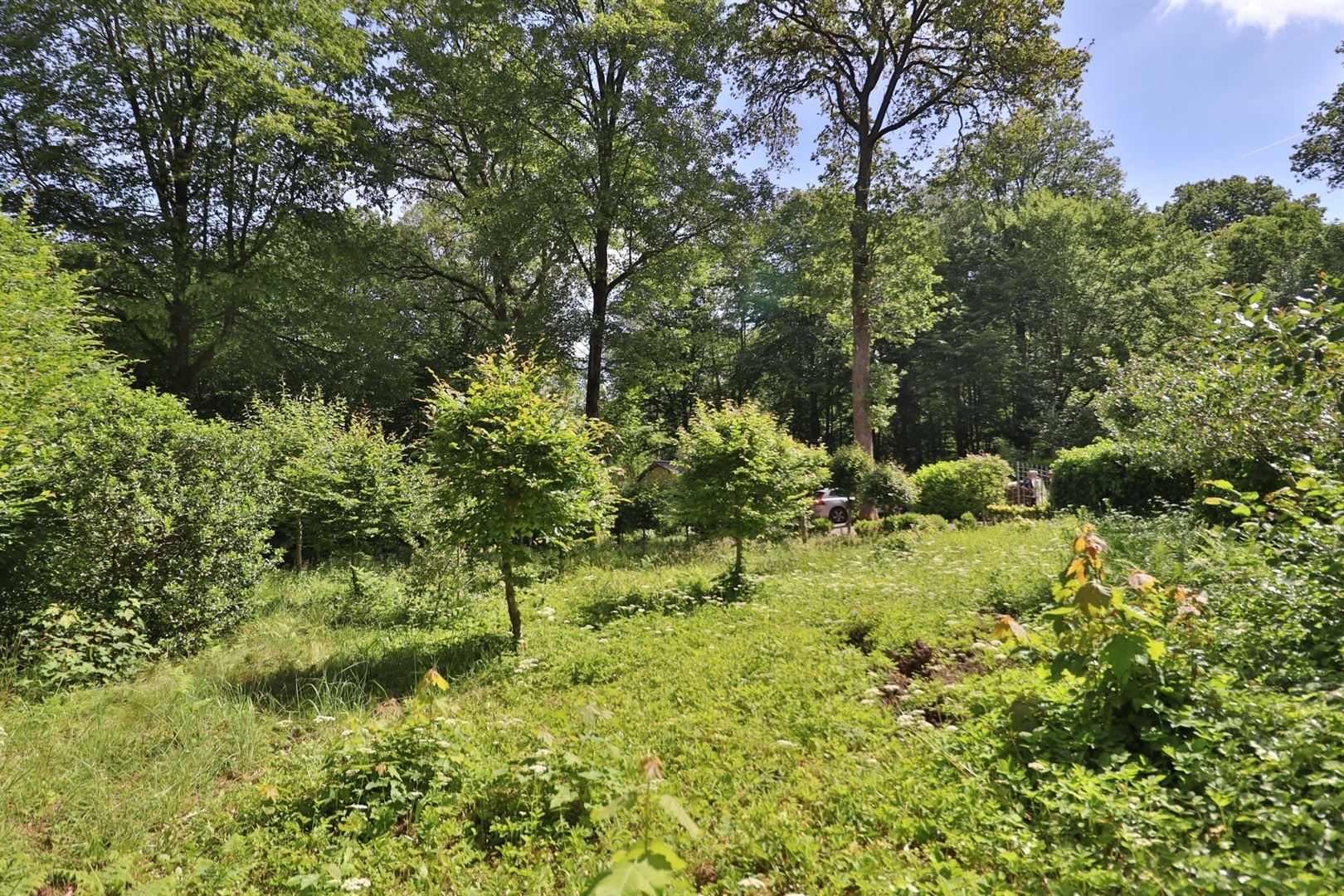 Super rustig gelegen Chalet + naastliggend perceel bouwgrond - foto 4