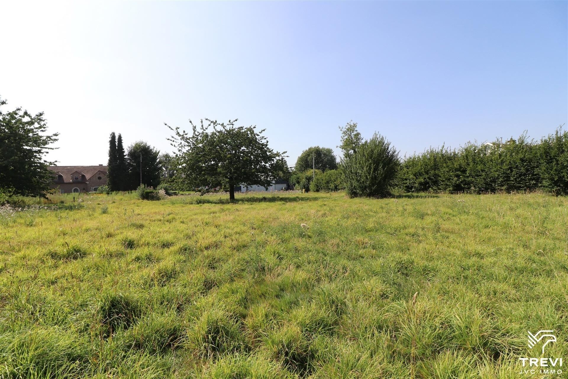 Grond te koop in Viemme - foto 4