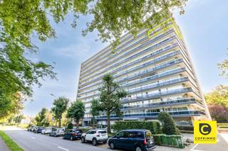 <p><span>Lichtrijk hoek-appartement met 3 slaapkamers en riante terrassen "with a view"!</span></p><p><span>Dit instapklaar appartement van maar liefst 129m² ligt op de 11</span><span><sup>de</sup></span><span> verdieping van een gebouw op het uiteinde van de gerenommeerde Fruithoflaan. Zodoende geniet u vanuit haast elke ruimte van een prachtig en groen uitzicht zonder enige inkijk. Op deze toplocatie zijn winkels, horeca, scholen, parken, sportfaciliteiten, openbaar vervoer en belangrijke invalswegen steeds vlakbij, net als het bruisende stadsleven. Het appartement werd doorheen de jaren grondig opgewaardeerd en heeft mede dankzij de recente HR ramen een zéér gunstig EPC (B/120). Kortom, een appartement waar authenticiteit en karakter hand in hand gaat met hedendaags comfort.</span></p><p><span> </span></p><p><span>Inkomhal, leefruimte & keuken:</span></p><p><span>U betreedt het appartement via de inkomhal met veiligheidsdeur, videofoon en grote ingemaakte kastenwand. De prachtige blokjesparket met sierlijst valt meteen in het oog en vindt u ook in de leefruimte terug. Met dank aan de hoekligging is de natuurlijke lichtinval in de woonkamer (ca.35m²) alomtegenwoordig en kijkt u uit op de magnifieke Antwerpse skyline. De recente keuken op XL-tegelvloer ligt aanpalend en is voorzien van een granieten werkblad en kwalitatieve toestellen (inductievuur, dampkap, oven, vaatwasser en koelkast). </span></p><p><span> </span></p><p><span>Nachthal, bergingen, wasruimte, toilet, badkamer & slaapkamers:</span></p><p><span>De nachthal, eveneens op parket, herbergt 2 praktische bergingen, een aparte wasruimte en een gastentoilet met handenwasser. De oogstrelende badkamer is geheel betegeld in marmer en omvat een ligbad/regendouche combinatie, dubbel wasmeubel, spiegelkast met ledverlichting, handdoekradiator en een extra toilet. Het appartement telt 3 volwaardige slaapkamers (ca. 10, 12,5 en 15m²) die allen aan de nog rustigere achterzijde liggen en rechtstreekse toegang bieden tot het terras.</span></p><p><span> </span></p><p><span>Terrassen & kelder:</span></p><p><span>Met een uitgestrekte terras aan de voorzijde (28,5m²) en een omvangrijk terras aan de achterzijde (15m²) kan u steeds in alle rust genieten van zon en schaduw, vergezeld van een feeëriek en groen uitzicht. Het is de perfecte plek om na een drukke werkdag even uit te blazen of gezellig te aperitieven, gevolgd door een lekker diner. Een droge, privatieve kelderberging is inbegrepen. </span></p><p><span> </span></p><p><span>Extra troeven: </span></p><p><span>- Mobiscore: 9,2/10</span></p><p><span>- 129 m² cfr EPC</span></p><p><span>- Gunstig EPC 120/B</span></p><p><span>- HR ramen (ca. 2022)</span></p><p><span>- Instapklaar</span></p><p><span>- Terrassen (43,5m² met panoramisch uitzicht)</span></p><p><span>- Zonnepanelen GD</span></p><p><span>- Kelder</span></p><p><span> </span></p>