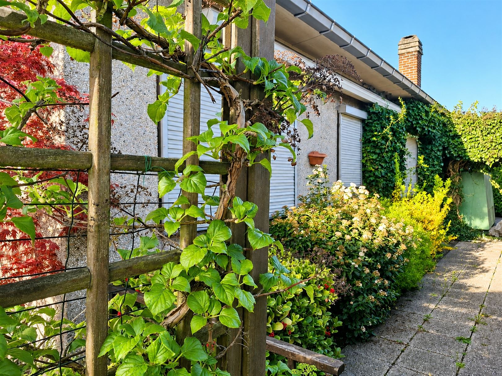 House - photo 4