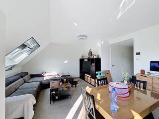 Nabij het centrum van Ninove bevindt zich dit instapklare en energiezuinige appartement met een bewoonbare oppervlakte van 107 m². Het gebouw...