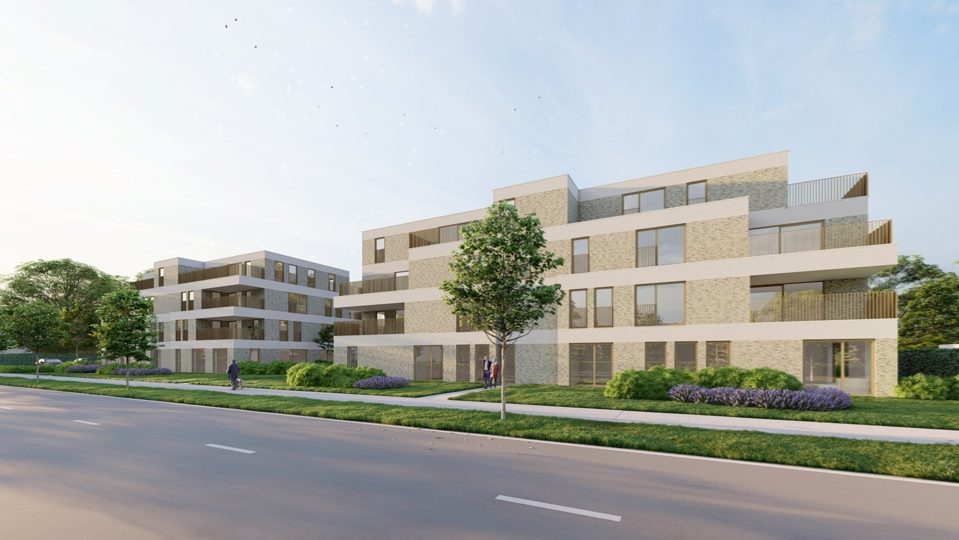 Project te koop in Zandhoven - foto 3