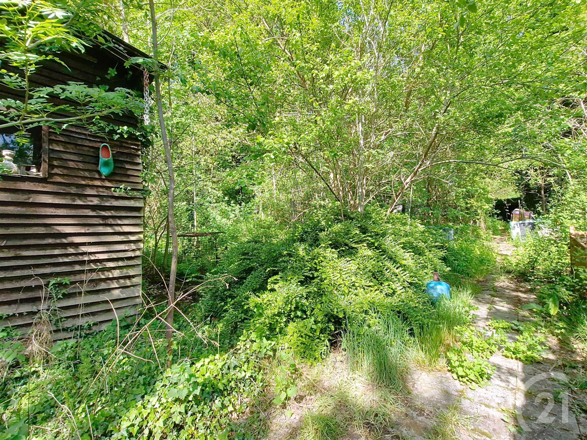 Chalet te koop in Baal! - foto 5