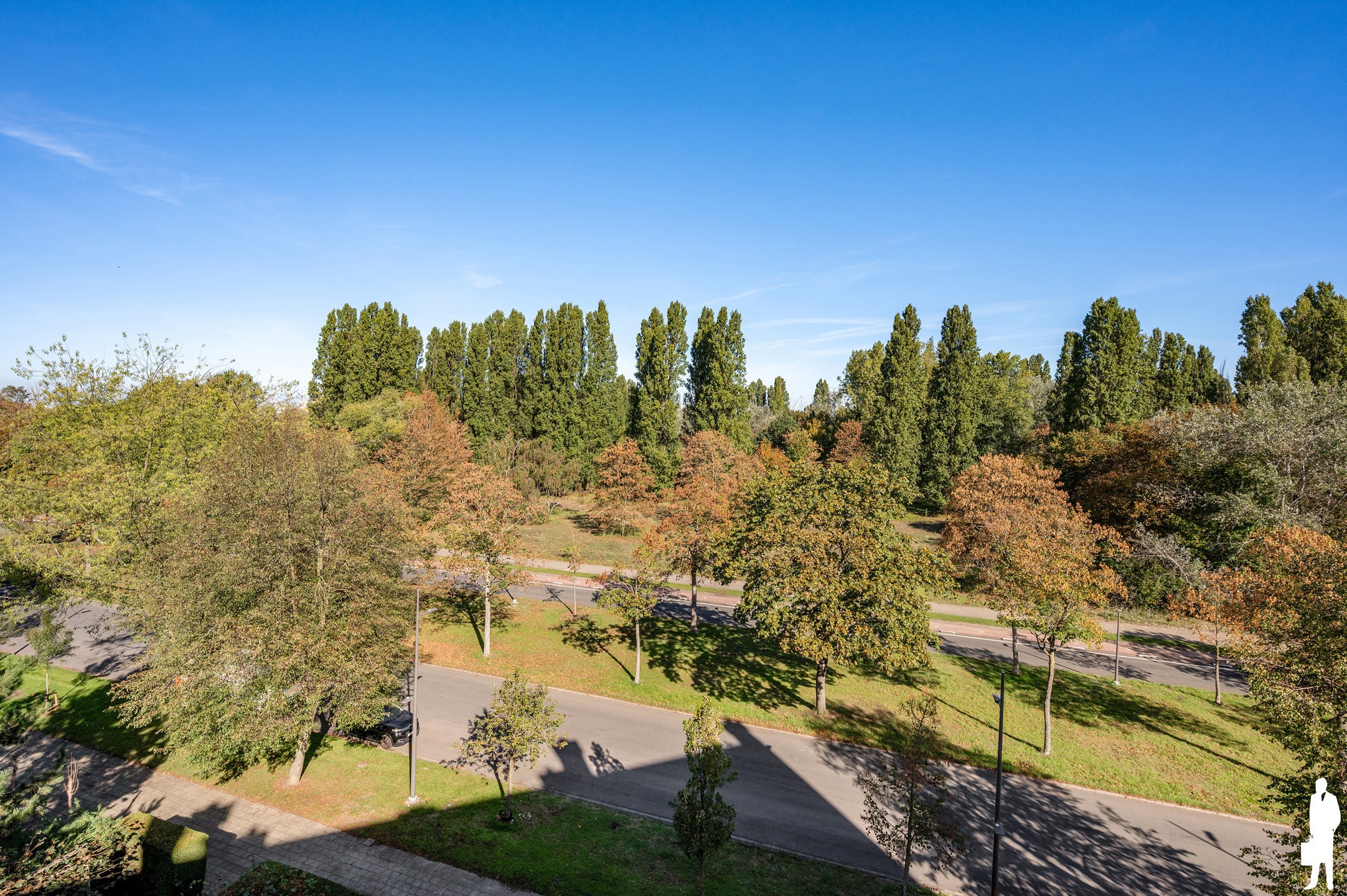 Lichtrijk duplexappartement met een oase aan groen - foto 4