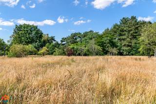 Terrain à vendre à Tessenderlo-Ham