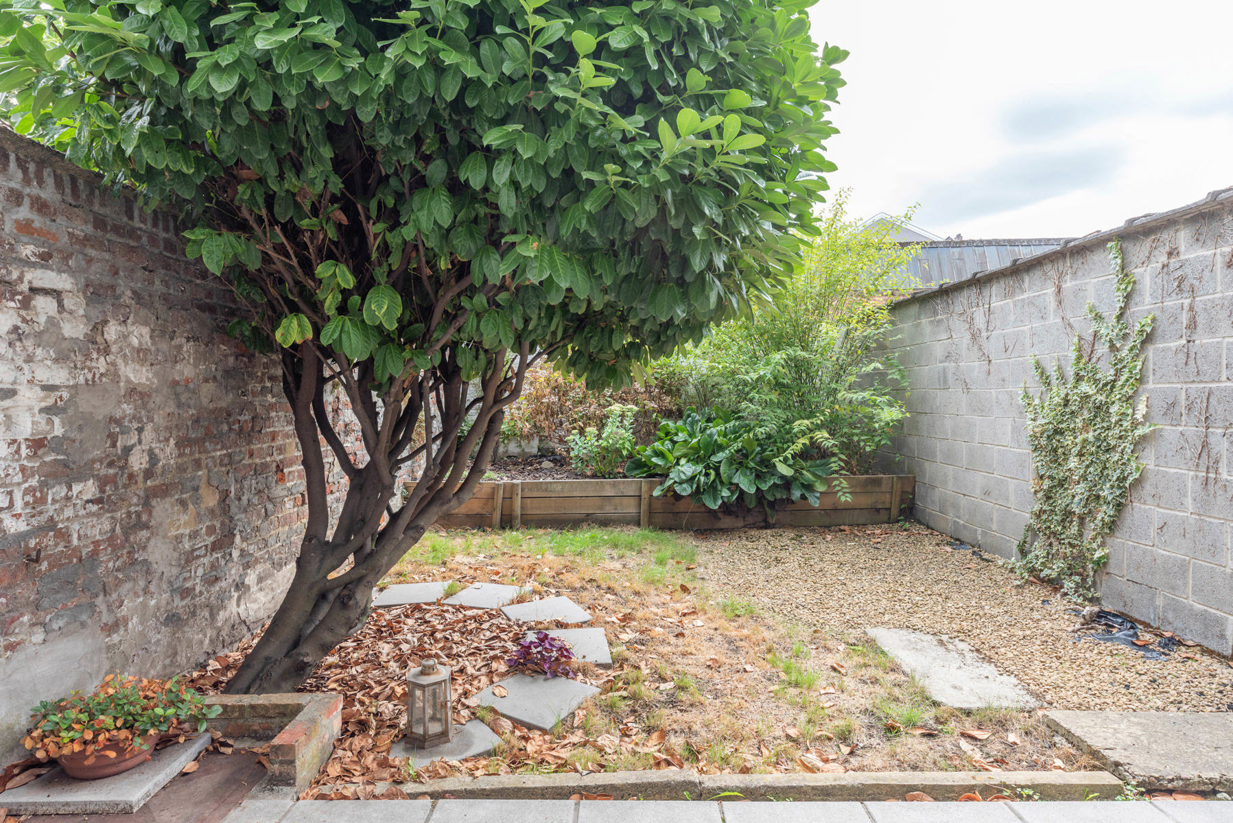 Apartment for rent in Leuven with 1 bedroom - photo 4