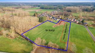 Terrain à vendre à Scherpenheuvel-Zichem