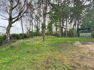 Deze grond is rustig gelegen aan de Cassiedreef en biedt een oppervlakte van 997 m².Het perceel bevindt zich in landschappelijk waardevol agrarisch gebied, dit betreft geen bouwgrond!Interesse in dit perceel?Vraag meer informatie aan via veerle.pierar@dewaele.com of 03/369.42.50.(ver-)Kopen of (ver-)huren in de Noorderkempen?Met vragen kan u altijd bij ons terecht!Dewaele VastgoedBestuursmaatregelen in het maatregelenregister: nee