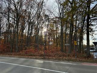 TE KOOP : PERCEEL BOSGROND te Herselt Deze 2 percelen bosgrond, naast elkaar liggend aan de Provinciebaan te Herselt zijn zeer goed bereikbaar...