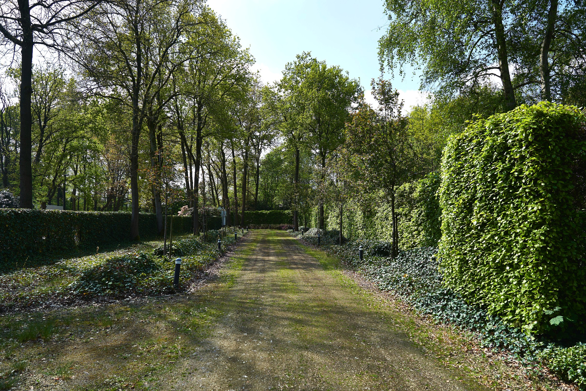 Schilde, mooi gelegen bouwgrond te koop - foto 3