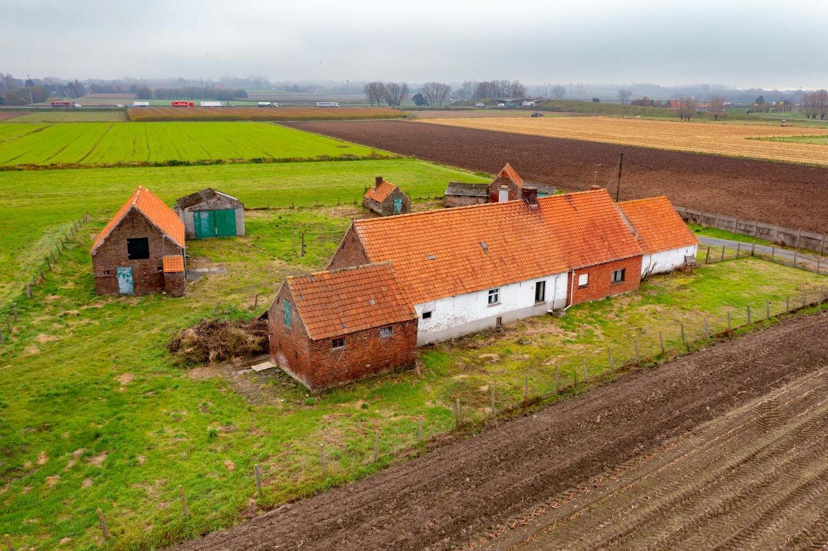 Hoevetje op 2 ha 67 are te koop te Kruisem - foto 3