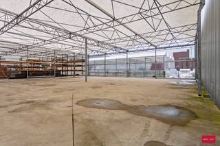 Serre te huur in Hoogstraten (200m²) Bent u op zoek naar een opslagplaats in Hoogstraten dat zowel ruim als goed gelegen is? Zoek niet verder!...