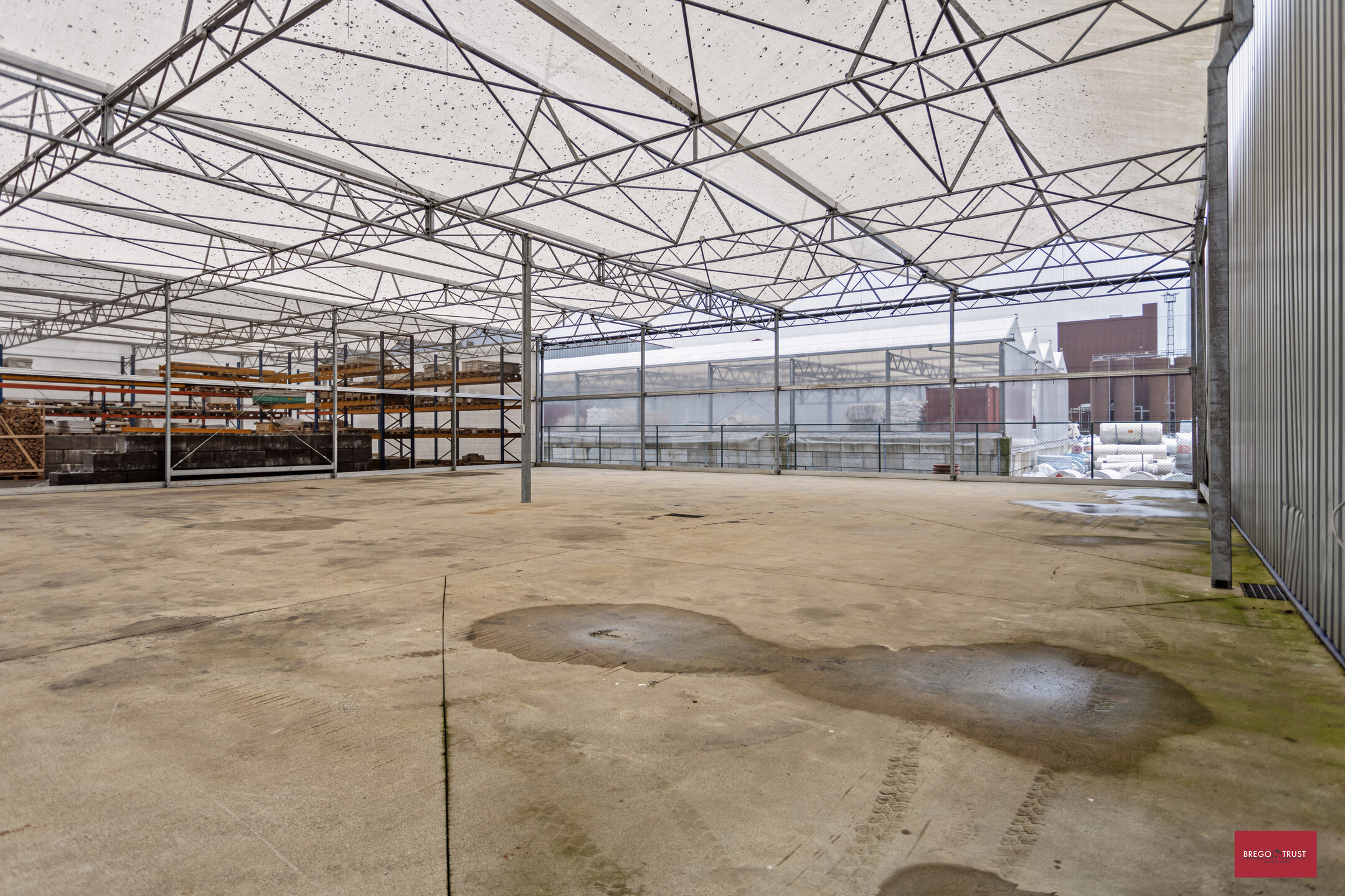 Serre (400m²) in Hoogstraten - foto 2