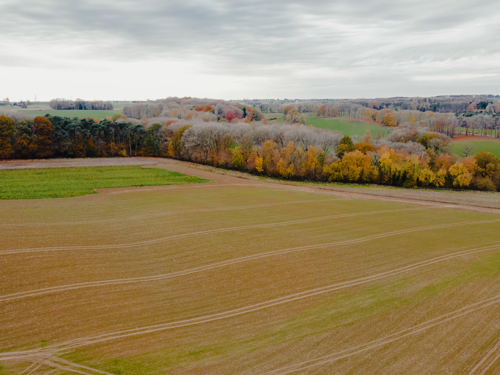 Land for sale in Lasne-Chapelle-Saint-Lambert - photo 4