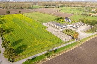 Between the charming town of Damme and historic Bruges lies this stunning 5.2-hectare estate, a unique oasis of tranquility and versatility. The elegant villa offers a generous and light-filled interior of 383 m², surrounded by a landscaped garden and pond of 2,117 m², with idyllic views over the polder.<br /><br />The property features three spacious outbuildings (one of 200 m² and two of 630 m²), ideal for self-employed professionals, storage or multifunctional use. In addition, the 2.5 hectares of arable land offer numerous possibilities, from agriculture to a horse pasture. Here, you can enjoy rural living while having the convenience of Bruges and Damme within easy reach.<br /><br />This estate is a rare find, an exceptional opportunity for anyone seeking a domain that offers possibilities as a family home, for commercial purposes, or as a hobby space. A place that combines authentic rural charm with a location on the border of Bruges and Damme.