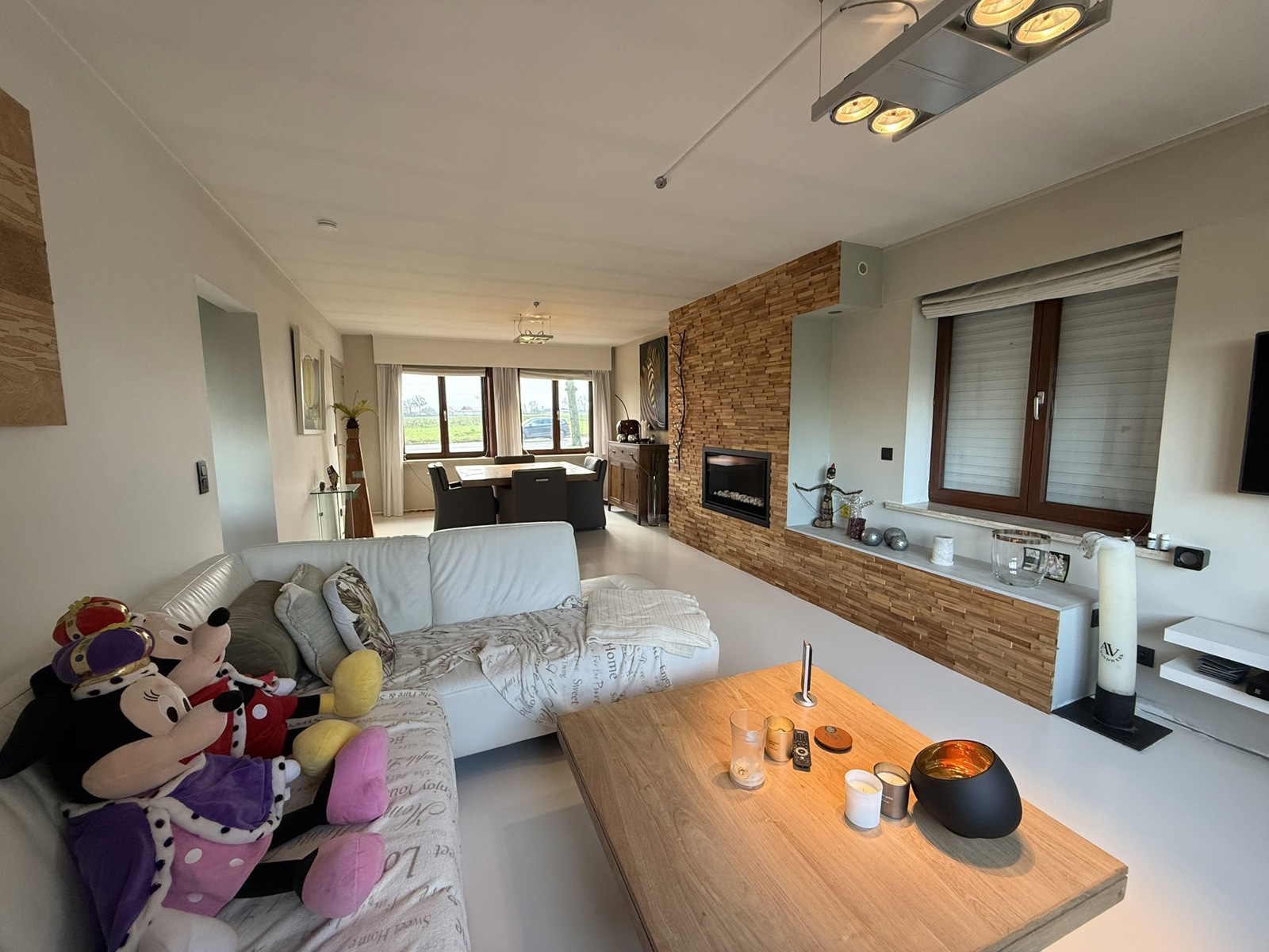 Ruime alleenstaande gelijkvloerse woning. - foto 5