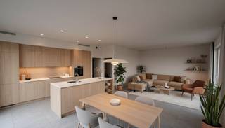 Deze ruime penthouse in Eilandpark, Sint-Lievens-Houtem, wordt volledig afgewerkt en is instapklaar tegen Pasen 2026. De doordachte indeling,...