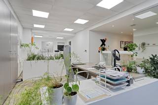 Cette offre se compose de 2 espaces commerciaux loués et de 4 box de garage séparés :La Sint-Michielsstraat 21 a une surface utile d'environ 150 m²...