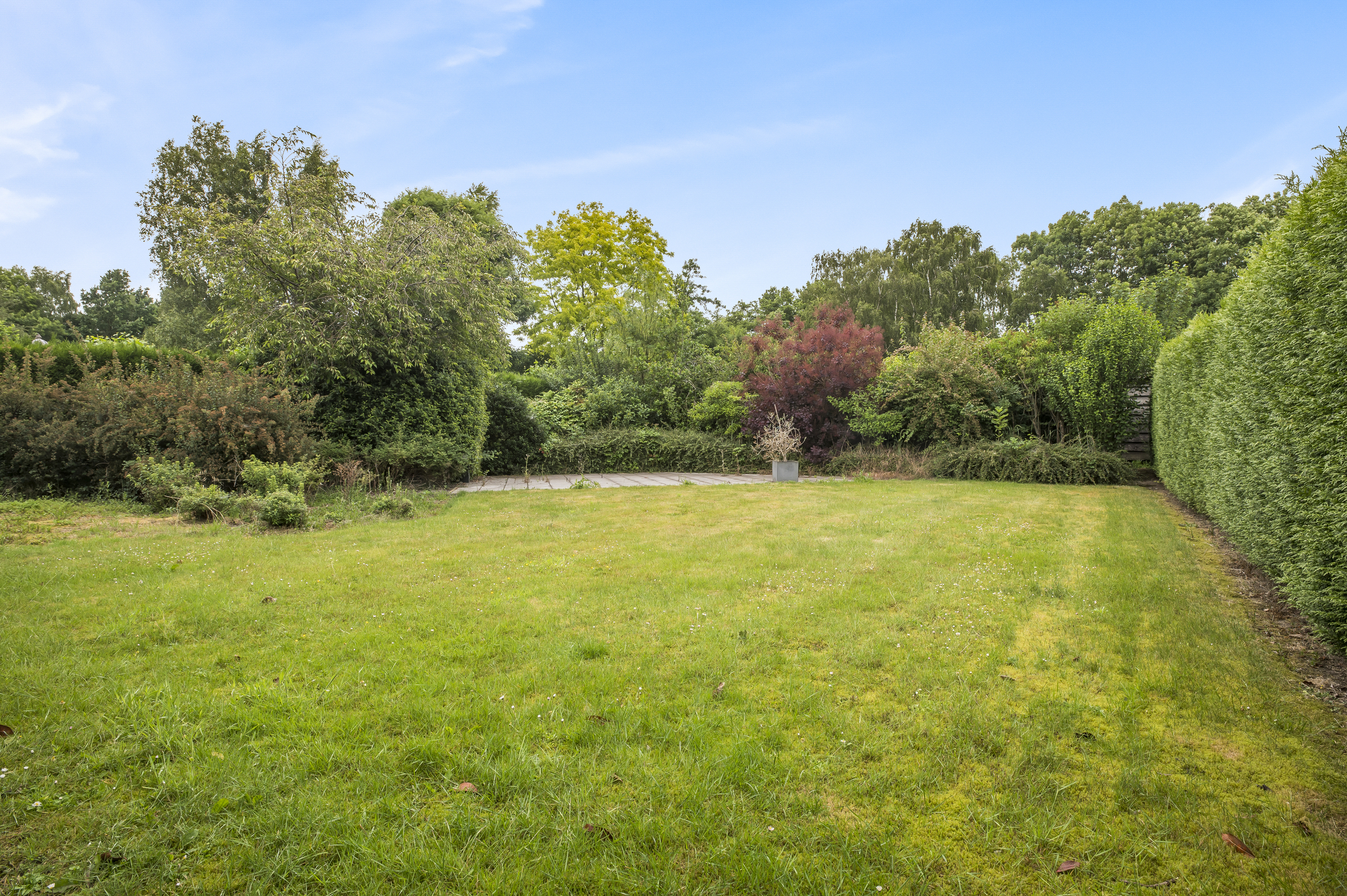 Woning met 3 hangars te koop in Sint-Martens-Leerne - foto 2