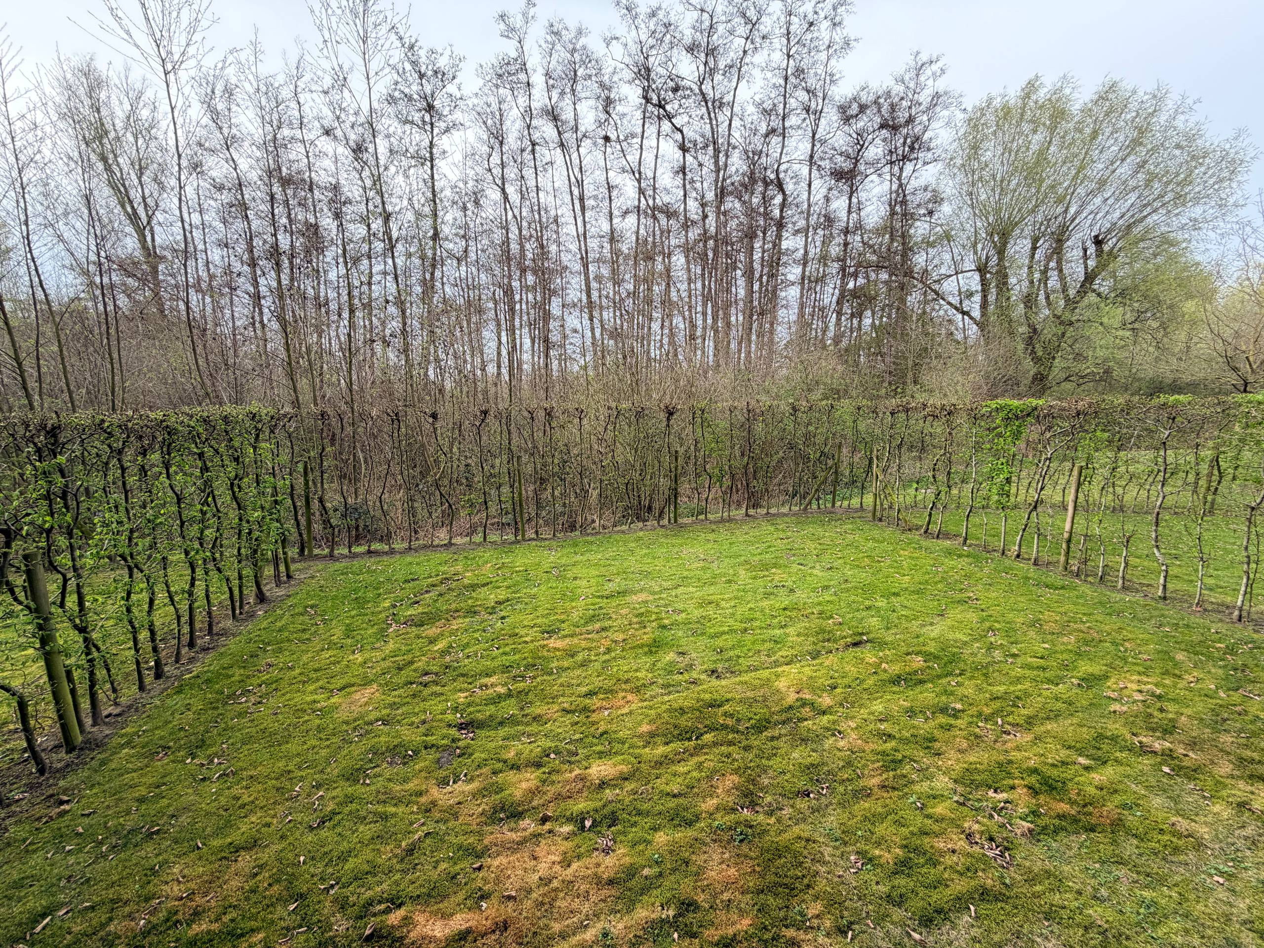 --- NIEUW --- Instapklaar gelijkvloers appartement met tuin op topligging nabij Gent-Sint-Pieters. - foto 4