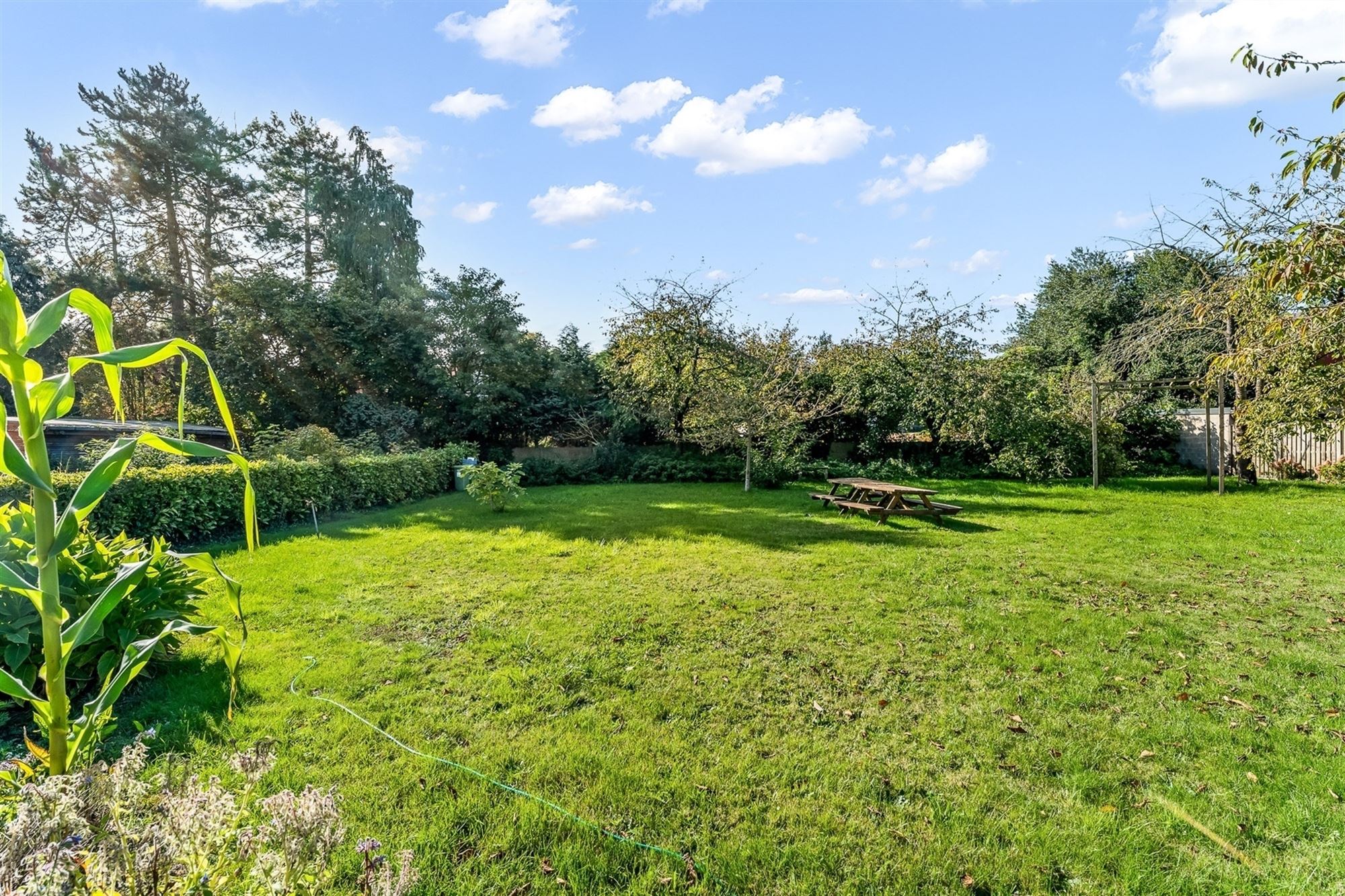 House for sale in Balen with 3 bedrooms - photo 4