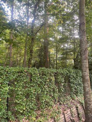 <p><span>In de prestigieuze en residentiële wijk </span><span>Schotenhof</span><span> bevindt zich deze uitzonderlijke </span><span>open bouwgrond</span><span> van ca. </span><span>3.099 m²</span><span>. Een unieke kans om jouw droomvilla te realiseren in één van de meest gegeerde woonomgevingen van Schoten.</span></p><p><span>De bouwgrond geniet van een </span><span>zuidwestelijke oriëntatie</span><span>, waardoor je de hele dag door optimaal van de zon en de tuin kan genieten. De rustige, groene omgeving wordt gecombineerd met een uitstekende bereikbaarheid. Op wandelafstand vind je </span><span>scholen</span><span>, </span><span>winkels</span><span>, </span><span>openbaar vervoer</span><span> en diverse sport- en recreatiefaciliteiten, tal van wandel- en fietsroutes liggen in de directe omgeving.</span></p><p><span>Voor wie nog meer ruimte wenst, bestaat bovendien de mogelijkheid om het </span><span>naastgelegen perceel (Lot 3)</span><span> mee aan te kopen.</span></p><p><span>Troeven:</span></p><ul><li><span>Open bouwgrond van ca. 3.099m²</span><span> </span></li><li><span>Residentiële topligging in Schotenhof</span><span> </span></li><li><span>Zuidwest georiënteerd</span><span> </span></li><li><span>Rustige, groene omgeving </span></li><li><span>Nabij scholen, winkels en openbaar vervoer </span></li><li><span>Mogelijkheid tot aankoop van </span><span>Lot 3</span><span>, €755.000</span></li></ul><p><span> </span></p><p><span>Een unieke opportuniteit voor wie exclusief wil bouwen op een toplocatie.</span></p><p><span>Voor bijkomende inlichtingen en voorschriften: neem contact op via 03 646 66 55 of sofie@sinjoor.be</span></p>