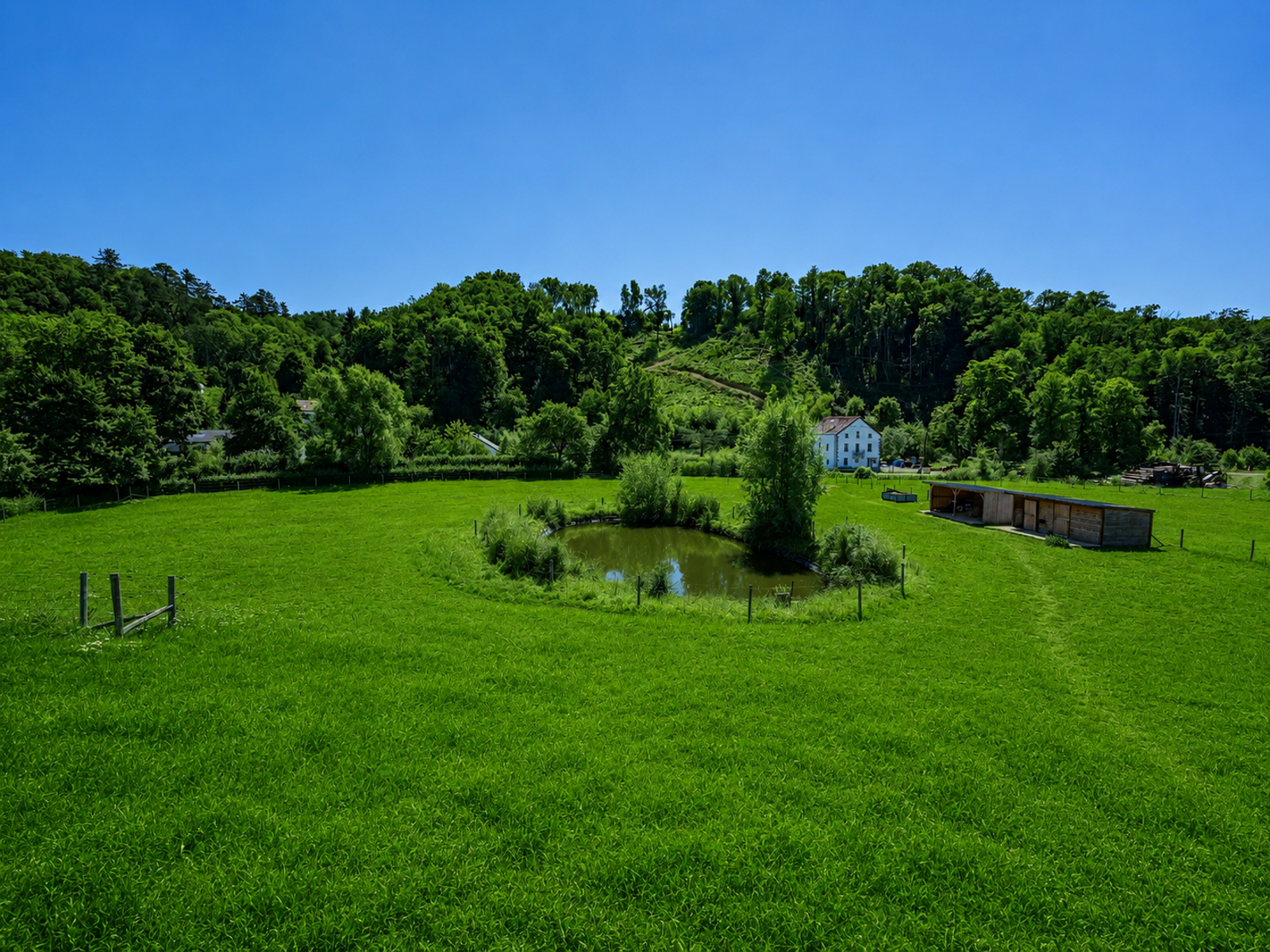 House for sale in Durbuy with 6 bedrooms - photo 5