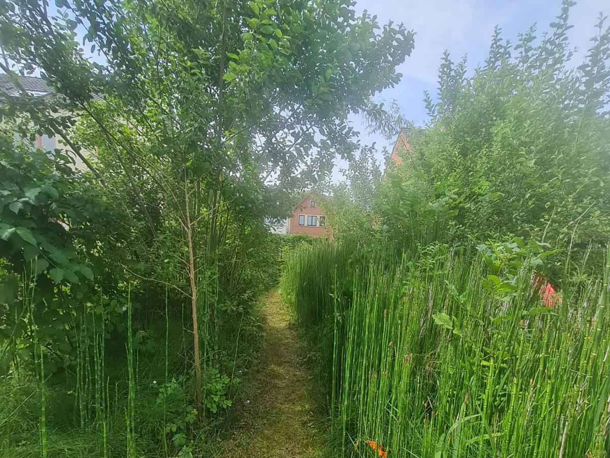 Bouwgrond te koop in Merelbeke-Flora - foto 5