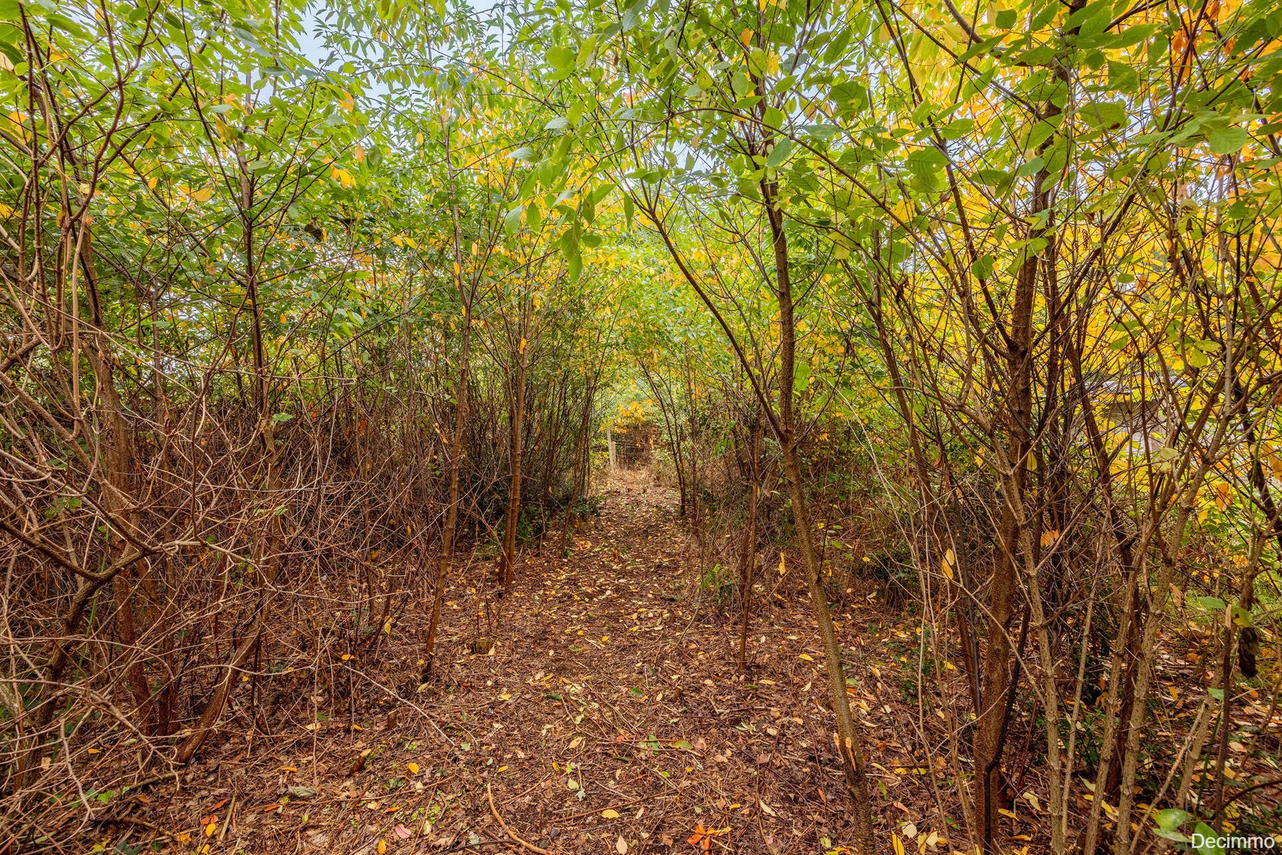 Op te frissen gezinswoning gelegen op rustige locatie - foto 5