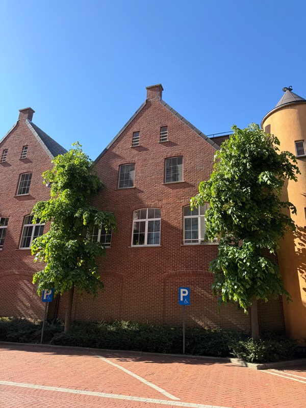 Instapklaar triplexappartement met 3 slaapkamers in hartje Hoogstraten. - foto 1