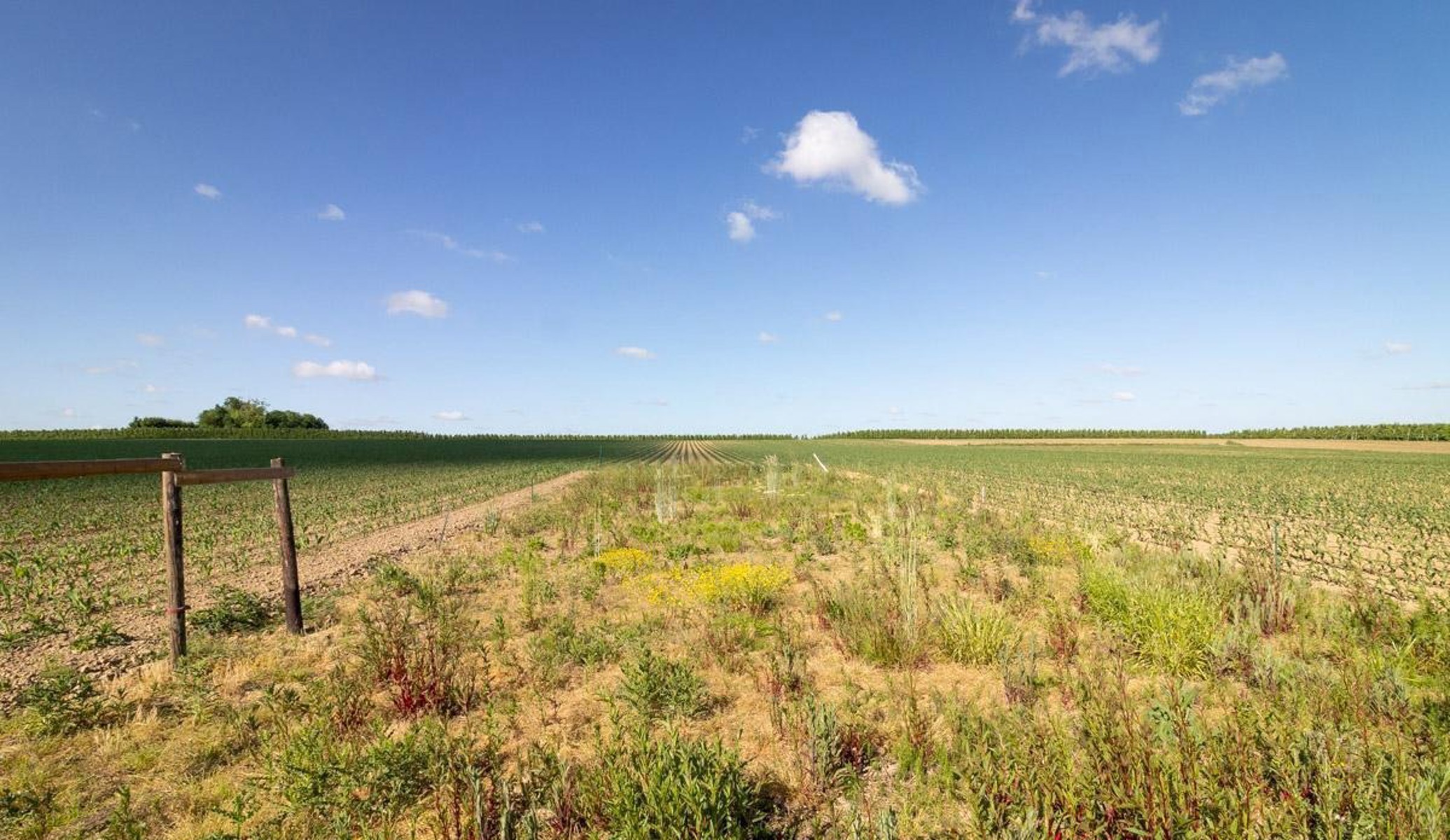 Huis te koop in Kortenaken met 3 slaapkamers - foto 2