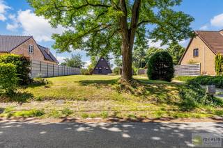 IDEALIS VASTGOED – Residentieel gelegen bouwgrond met zicht op groen van maar liefst 12a (1200m²) met een straatbreedte van +- 20m. Momenteel...