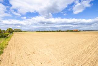 Ideaal gelegen landbouwgronden op ca. 9,2 ha net buiten de dorpsrand van Vremde. Volledig gelegen in agrarisch gebied. Geschikt voor o.a. paarden-...