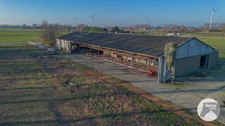 <strong>LAARNE-  Landbouweigendom met geïntegreerde woning </strong><br /><br />In het landelijke Laarne bevindt zich deze landbouweigendom, gelegen in agrarisch gebied en omringd door uitgestrekte weides/landbouwgronden. Het geheel werd gebouwd in 1995 en is gelegen op een perceel van 3ha 13a 35ca, wat tal van mogelijkheden biedt voor landbouwactiviteiten.<br /><br />De eigendom omvat een stal met geïntegreerde woning, een mestvaalt en een sleufsilo. Het stalgedeelte is momenteel ingericht als rundveestal en inloopstal, met een tweede verdieping die dienstdoet als opslagruimte voor hooi en stro, aangevuld met bijkomende stockage.<br /><br />De woning is functioneel ingedeeld. Op het gelijkvloers bevindt zich een woonkamer met eetplaats en zitruimte, een volledig geïnstalleerde aparte keuken, een berging, een gastentoilet en een traphal naar de eerste verdieping. Op de eerste verdieping vinden we drie slaapkamers en een badkamer uitgerust met ligbad en toilet.<br /><br />De woning is voorzien van dubbele beglazing en centrale verwarming op stookolie (installatie niet conform).<br /><br />Deze eigendom is uitermate geschikt voor wie wonen en werken wil combineren in een rustige, landelijke omgeving, met respect voor de geldende agrarische bestemming.<br />Meer informatie of een bezoek ter plaatse? Neem gerust contact met ons op 053/60.65.6653/60.65.66