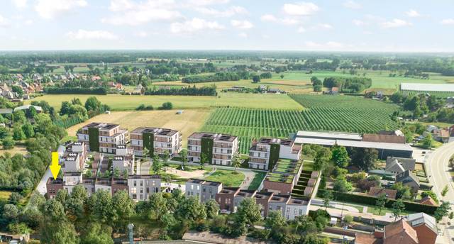 Project te koop in Oud-Turnhout