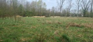 Grond gelegen in parkgebied.Wel mogelijkheid om 1 paard of 2 pony's te houden met een beschutting. Of te gebruiken als landbouwgrond /...