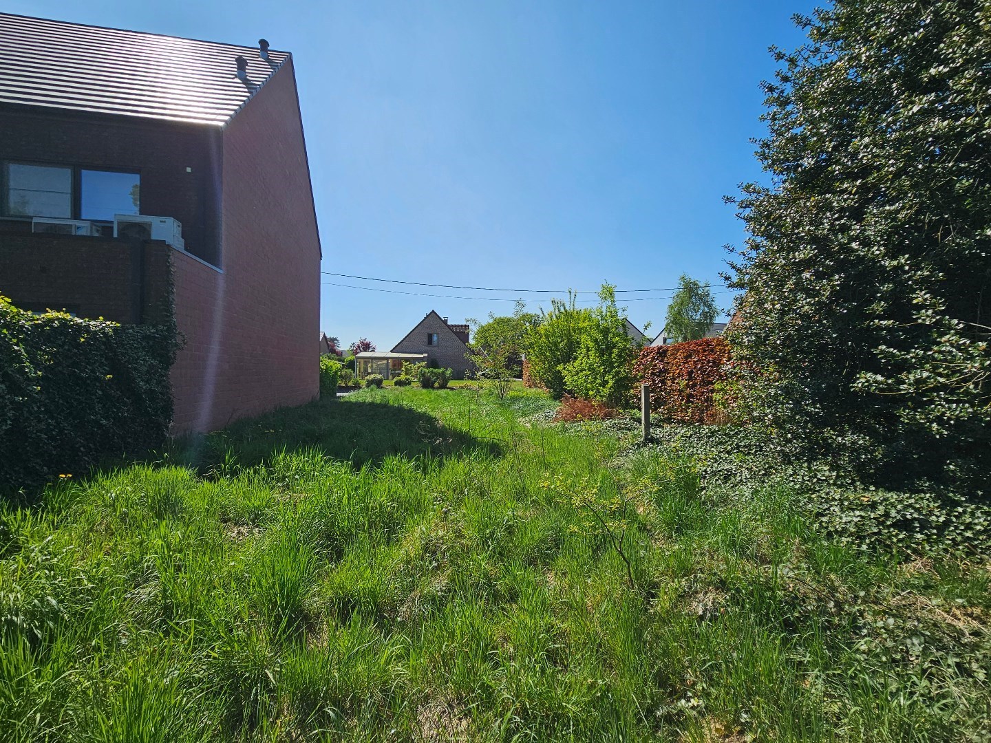 Grond te koop in Haacht - foto 4