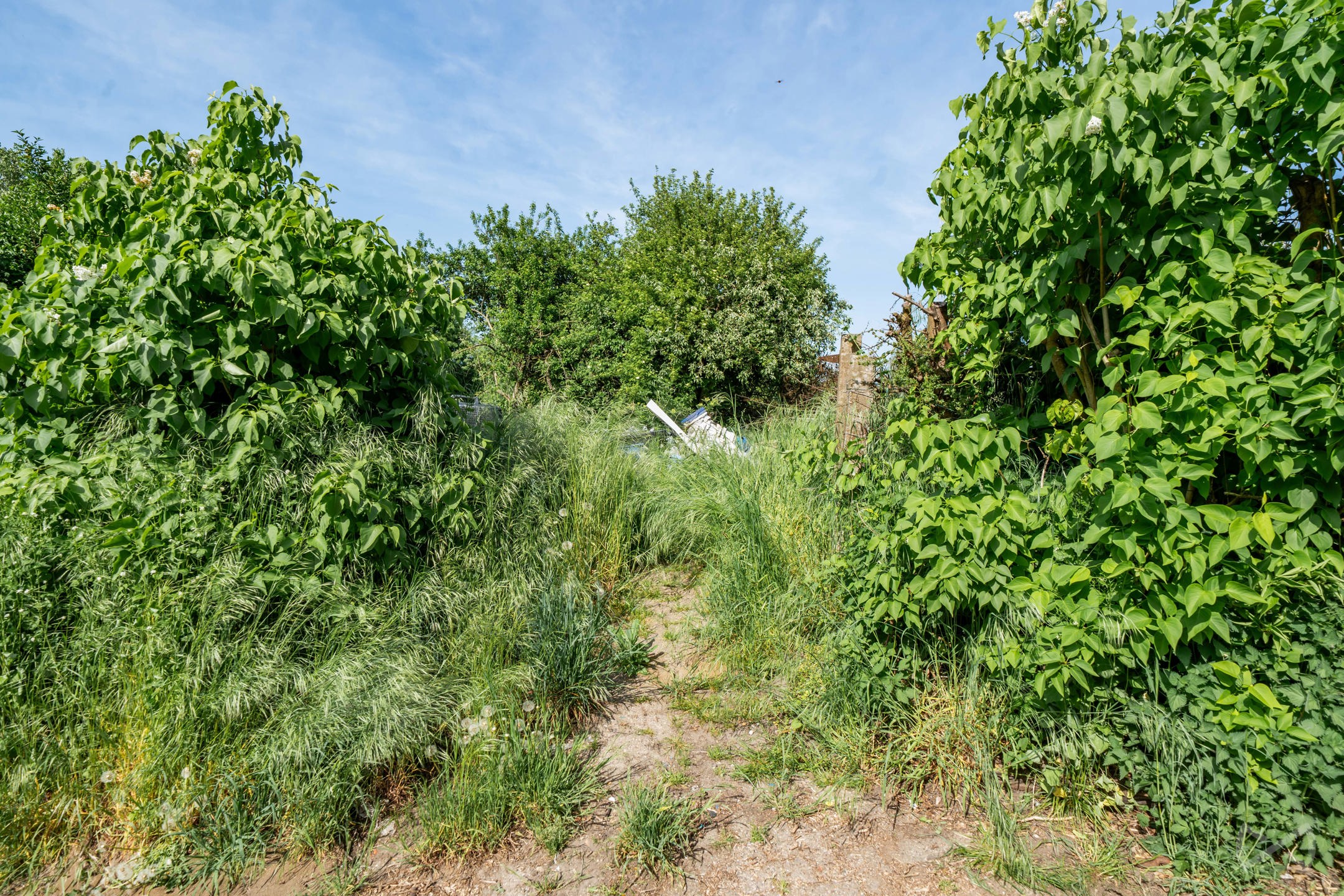 Grond te koop in Jodoigne - foto 5