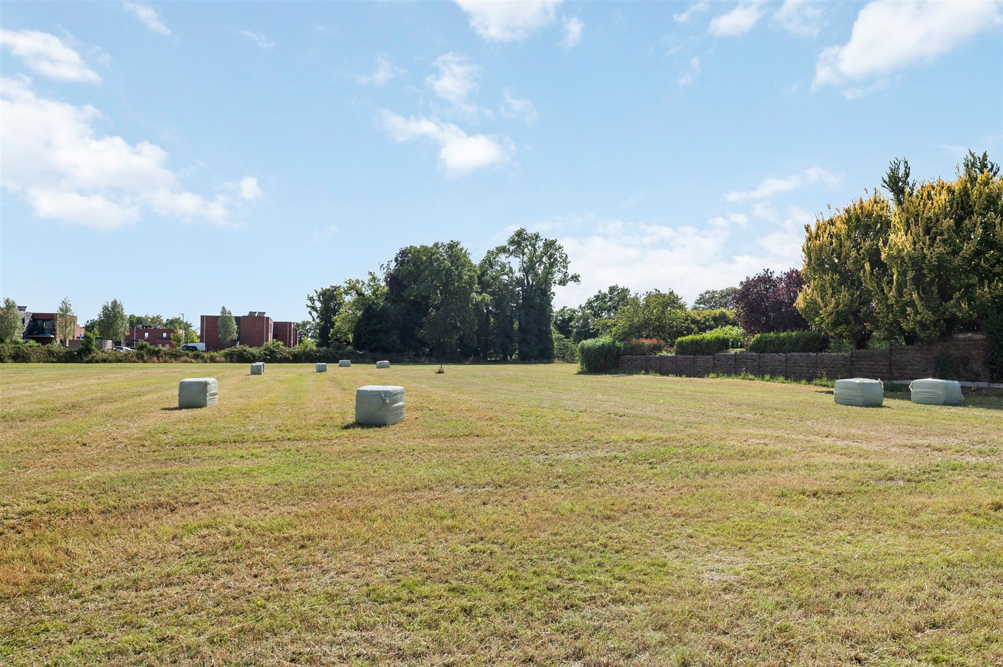 Terrain à vendre à Balen - photo 3