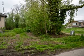 TE KOOP: Exclusieve bouwgrond met vergunning gelegen in de prestigieuze Sparrendreef – Kampenhout Adres: Sparrendreef 7, 1910...