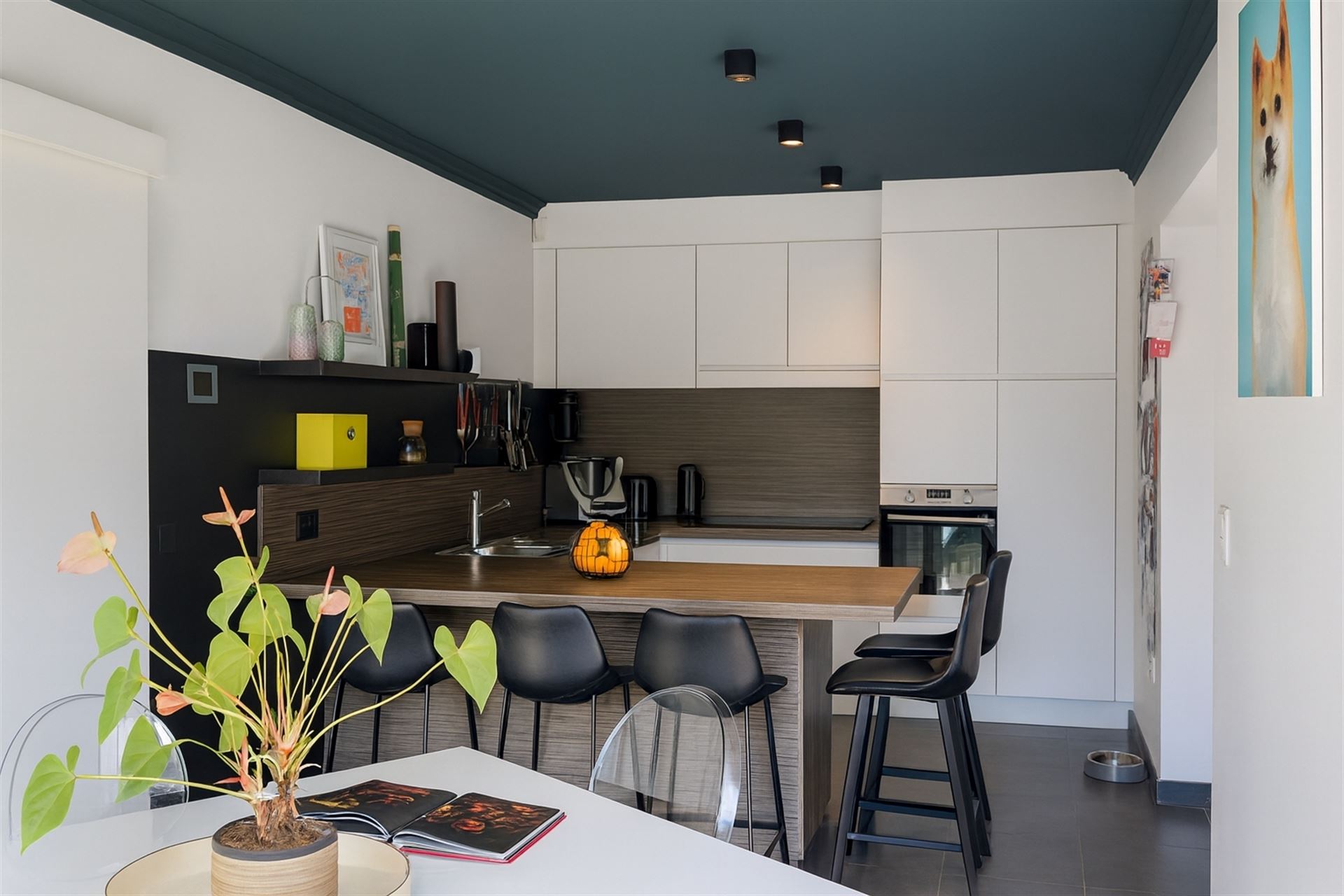 Habitation unique avec oasis de jardin cachée - photo 5