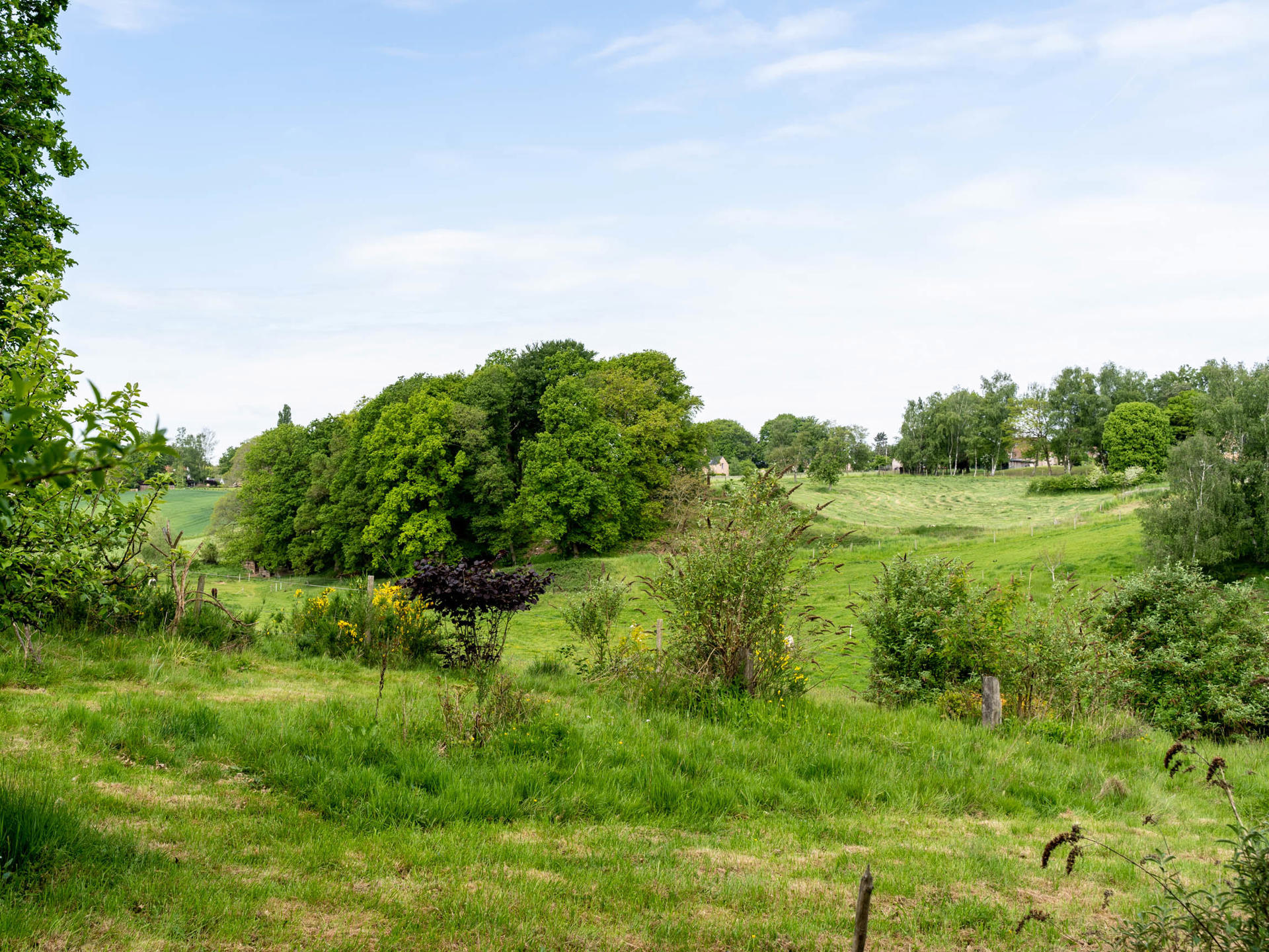 House for sale in Lasne-Chapelle-Saint-Lambert with 5 bedrooms - photo 4