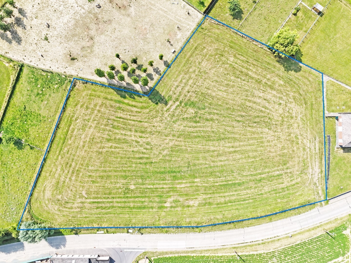 Bouwgrond voor open bebouwing op +/- 8 are te Zottegem - foto 4