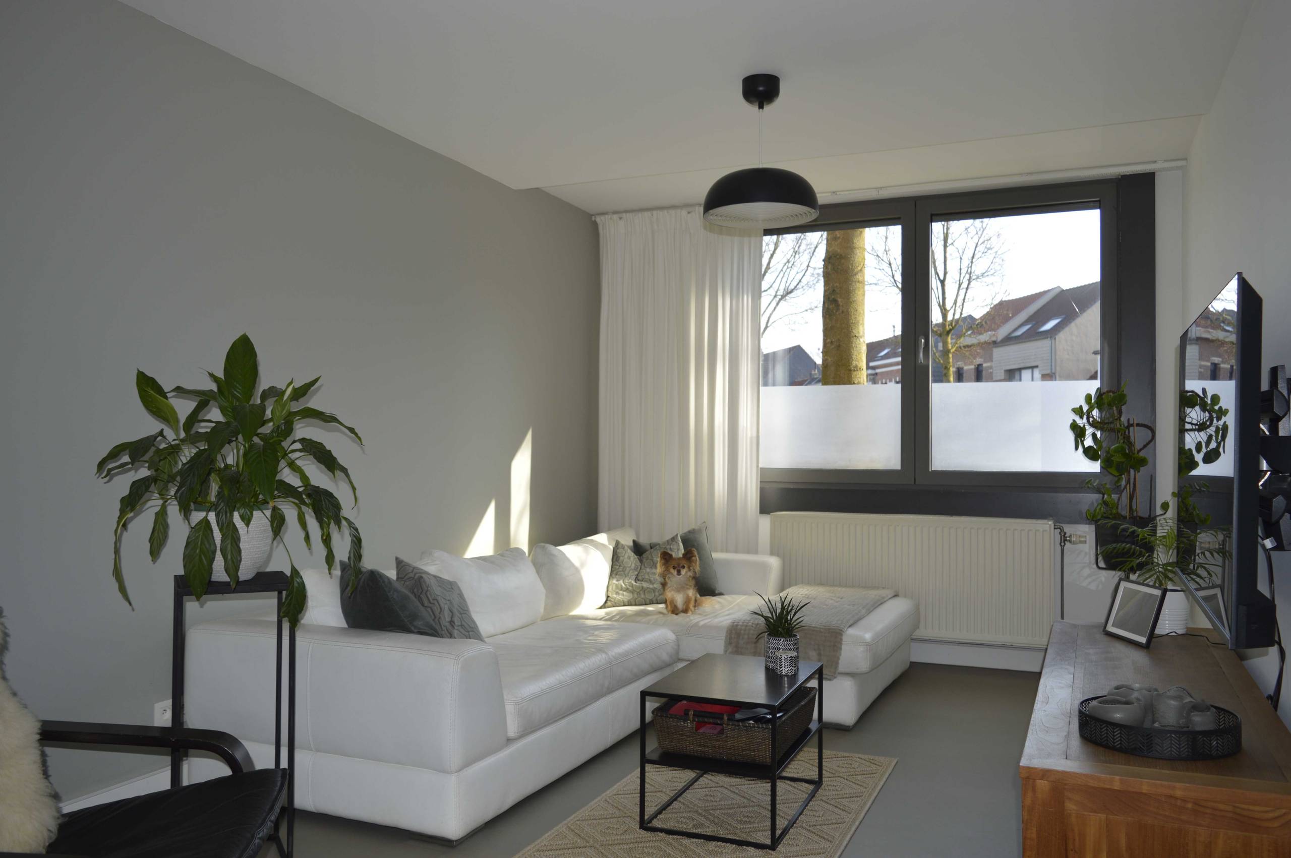 Appartement te koop in Edegem met 1 slaapkamer - foto 2