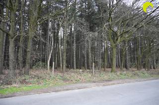 Deze mooie bosgrond is gelegen tussen de Gebroeders Naudslaan en de Wachtbekestraat te Wachtebeke. Voor meer info bel ons op 03-449 42 41 of mail ons...