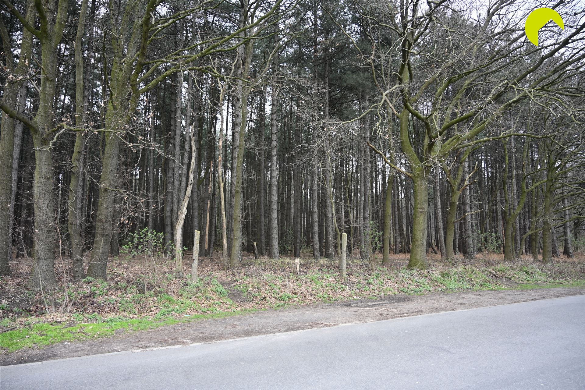 Mooie bosgrond met loofbomen te Wachtebeke! - foto 2