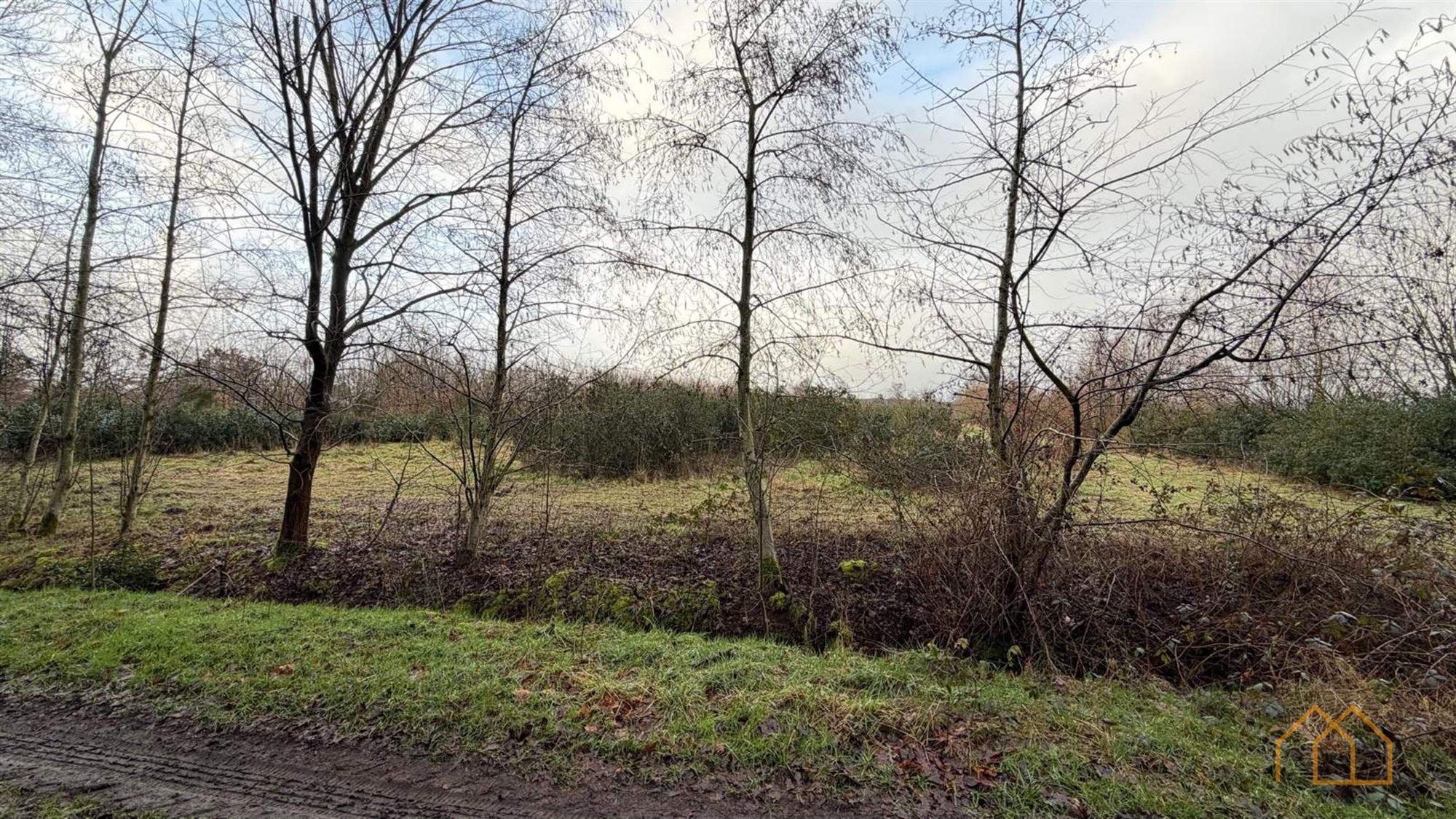 Landbouwgrond van 8600m² in Ten Aard - foto 4